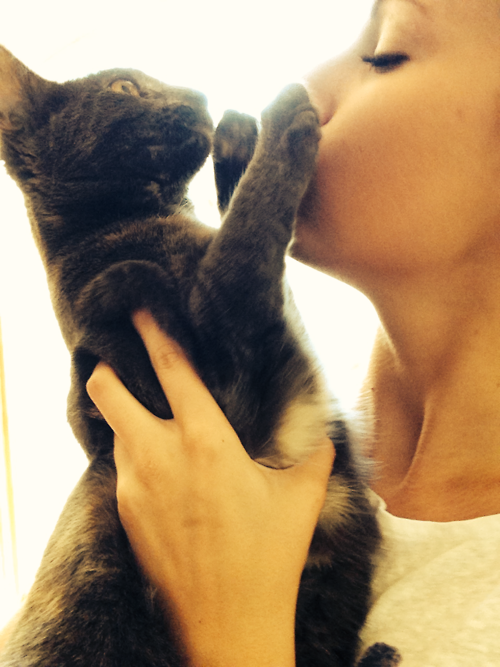 Любительницам целовать котиков - посвящается. Здоровья вам крепкого, и отсутствия паразитов в орган
