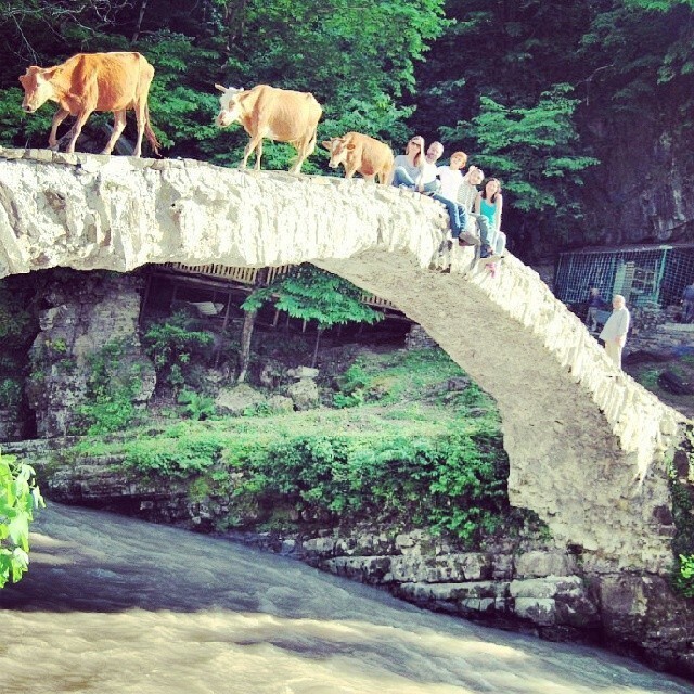 Мост в сельское местности