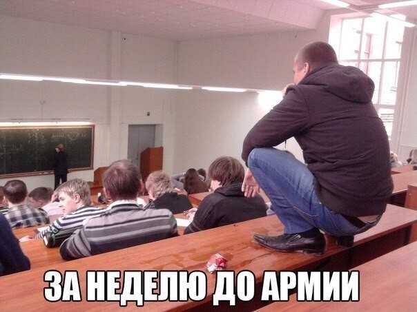 Смешные картинки с надписями