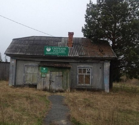 Смешные картинки с надписями