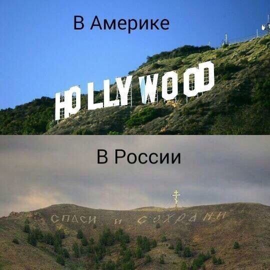 Смешные картинки с надписями
