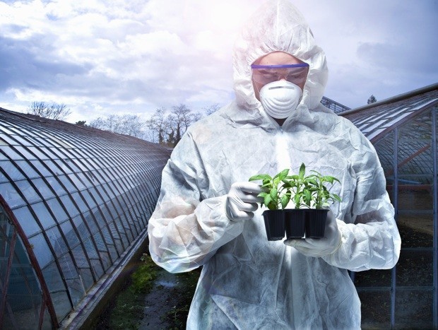 Гербициды и некоторые ГМО