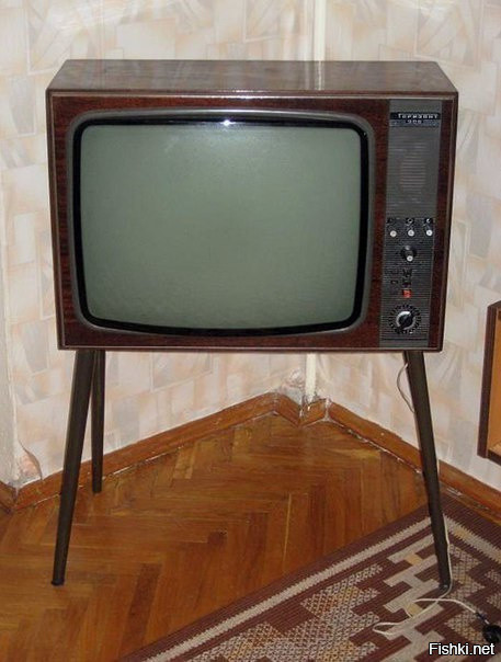 В СССР пультом от телевизора был самый младший в семье