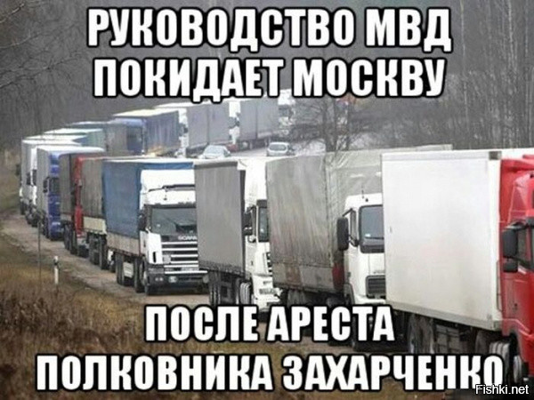 Из солянки