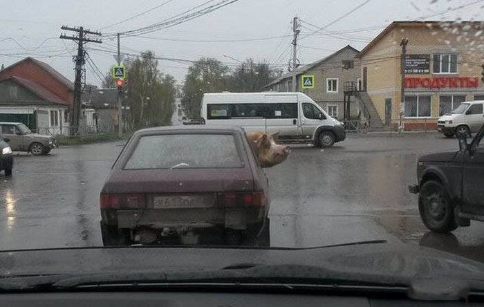 Фото, которые возможно было сделать только в России