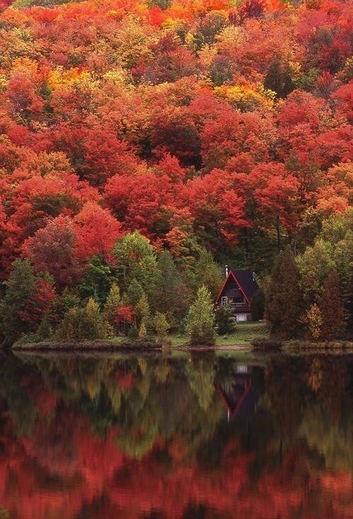 Канада. Осень.