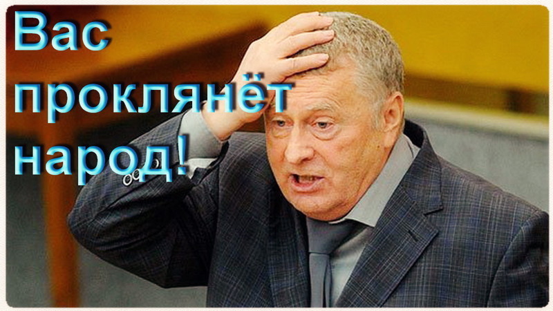 Жириновский: «Вас же проклянёт весь народ!..»