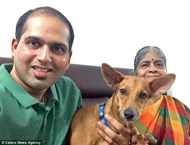 Собака, выброшенная с крыши студентами-медиками,сумела выжить и обрела любящую семью