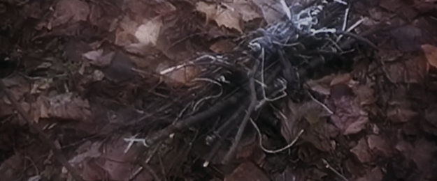Пучок палочек из фильма состоит из реальных человеческих зубов и волос Джоша Леонарда