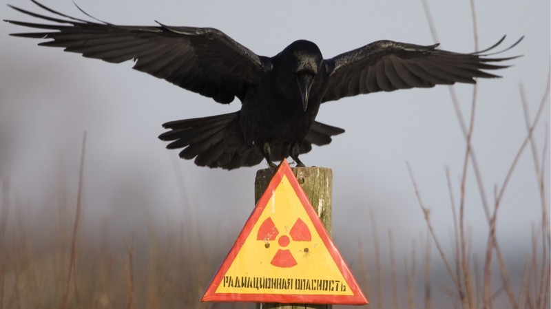 9 самых радиоактивных мест в России