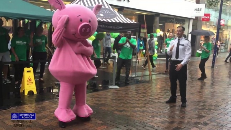 Полицейский уделывает свинью 