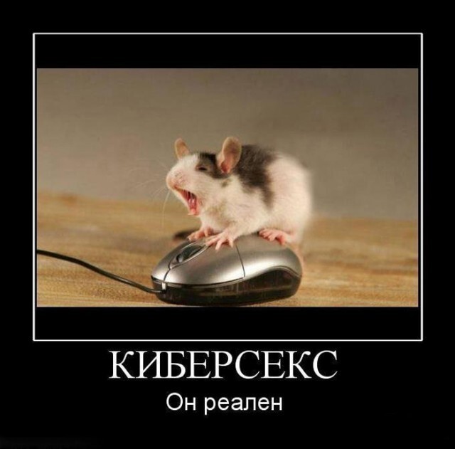Отборные пошлые приколы