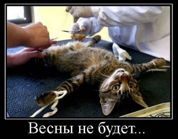 Отборные пошлые приколы