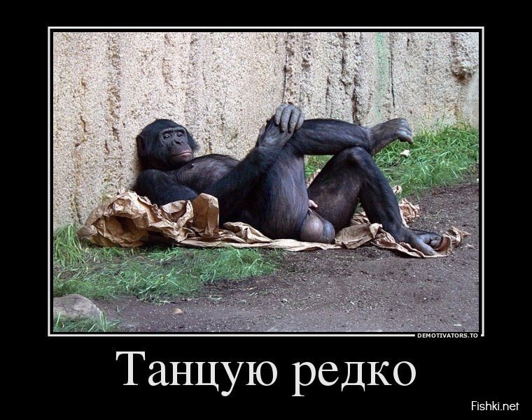Отборные пошлые приколы
