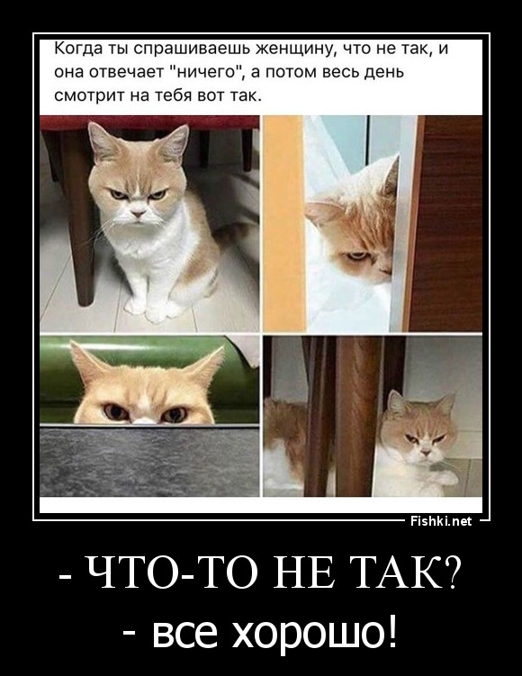 - Что-то не так?