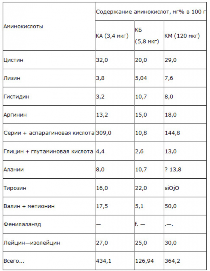 Чайный гриб