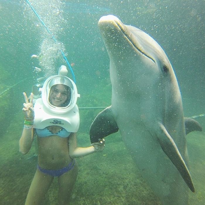 Дельфин и русалка?
