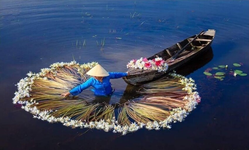 Флорист на озере