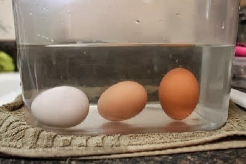Проверяем свежесть яиц
