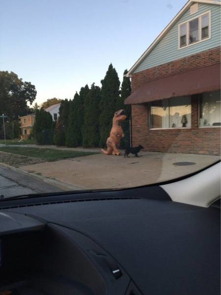 Динозавр выгуливает питомца