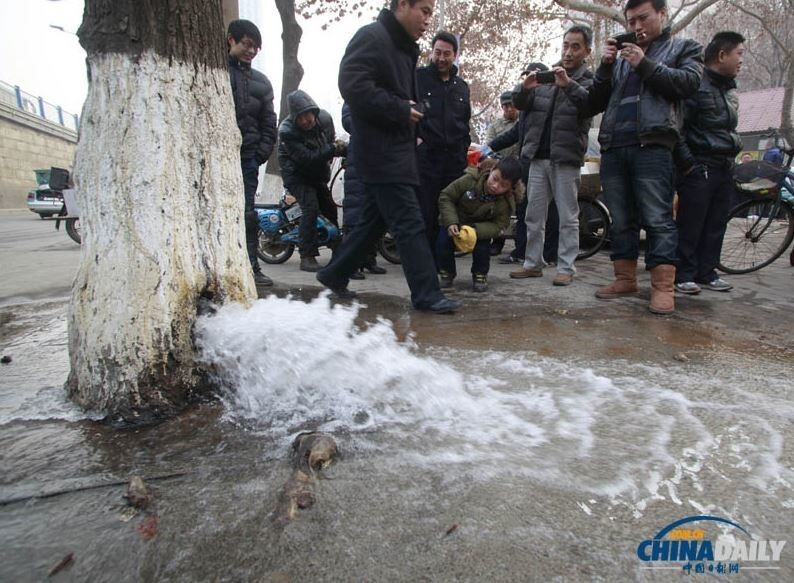 Жители Цзинани стали свидетелями извержения воды из дерева