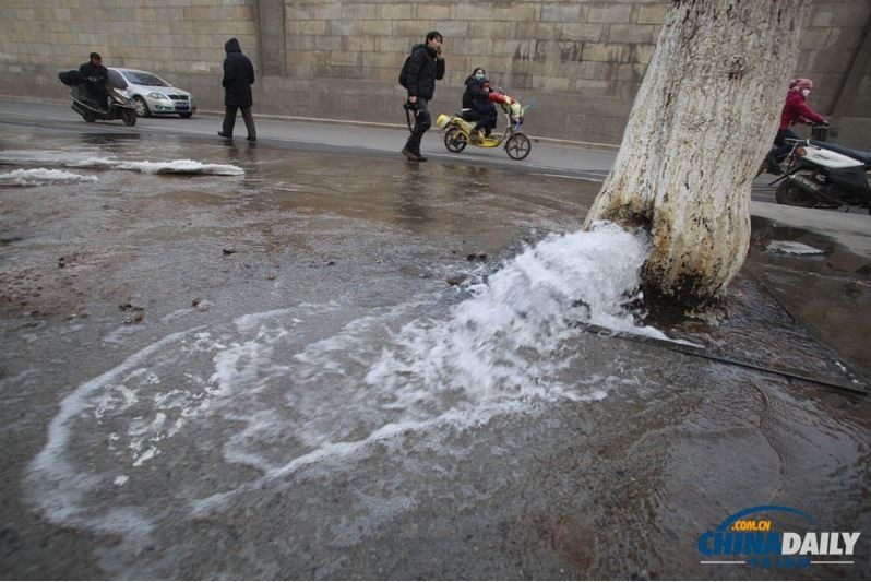 Жители Цзинани стали свидетелями извержения воды из дерева