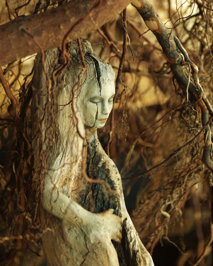 Великолепные скульптуры из плавучего леса рассказывают забытые истории океана