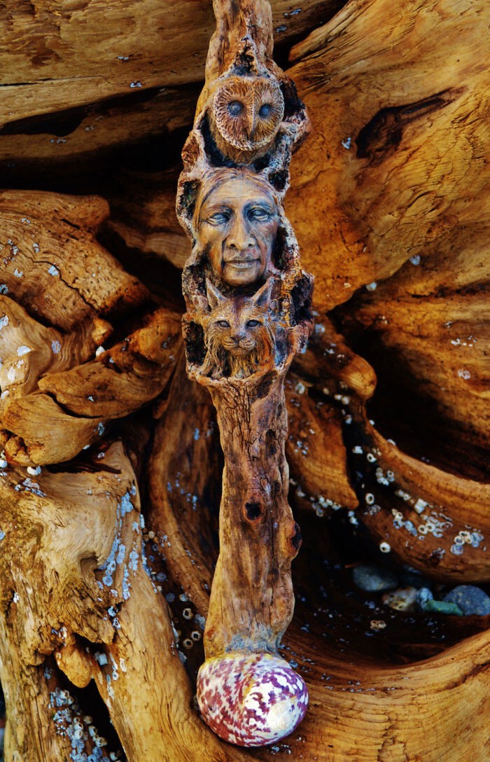 Великолепные скульптуры из плавучего леса рассказывают забытые истории океана