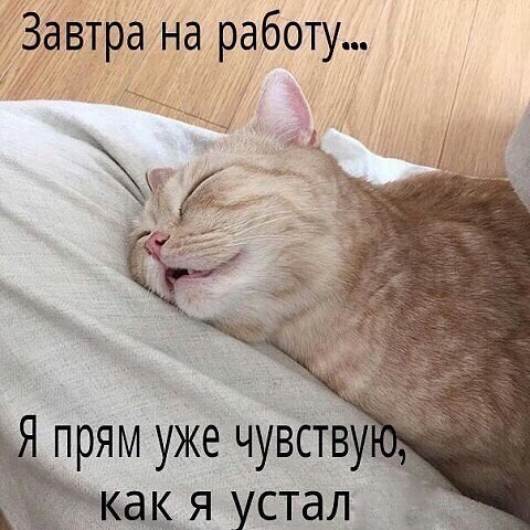 Небольшая подборочка котеек