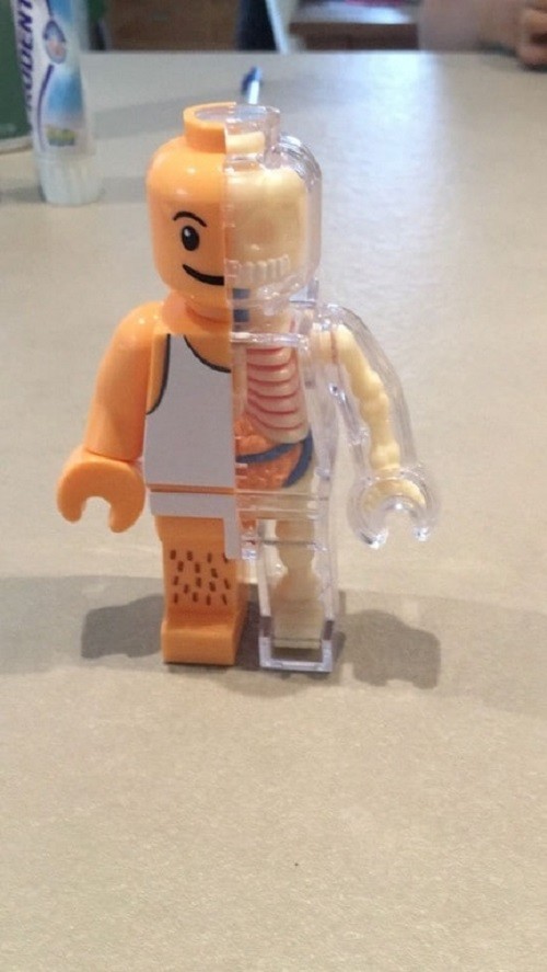 12. Человечек Лего со скелетом внутри. Почему-то это пугает!