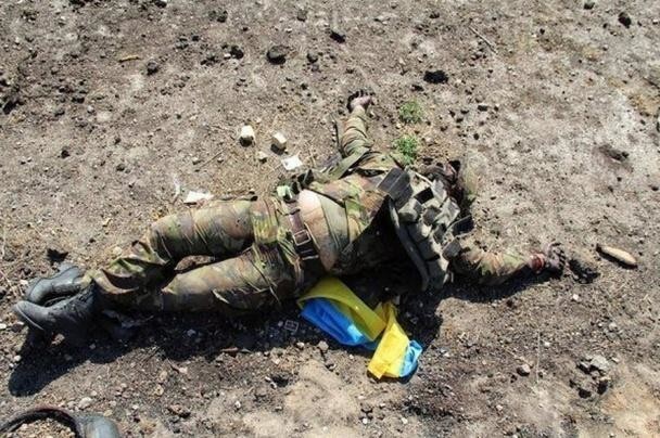 О гласе народа и выборе глупца