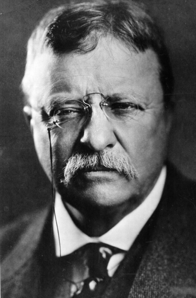 34. Теодор Рузвельт (1858 - 1919)