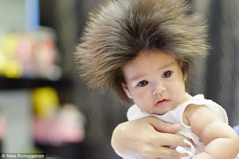 В Британии - мода на волосатых младенцев!