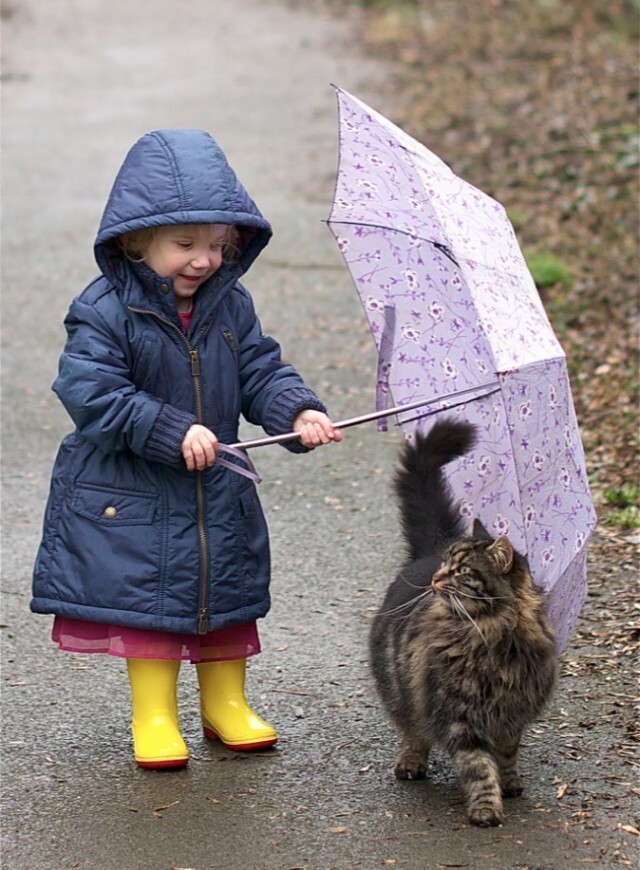 С котом ребенку хорошо в любую погоду. 