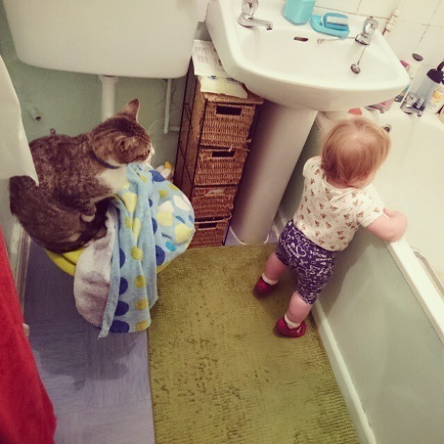 Кошка научит ребенка гигиене. 