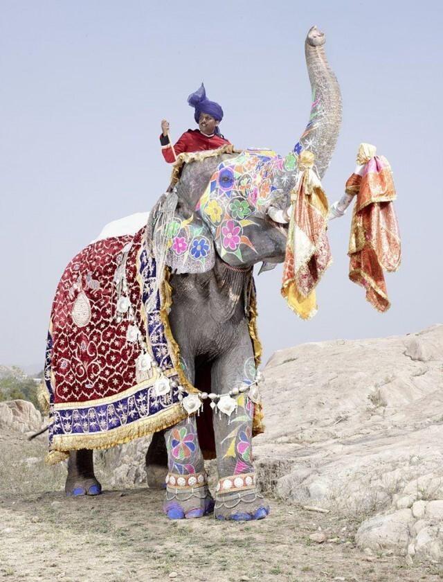  Индийцы знают толк в тюнинге слона