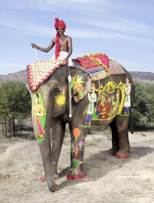  Индийцы знают толк в тюнинге слона