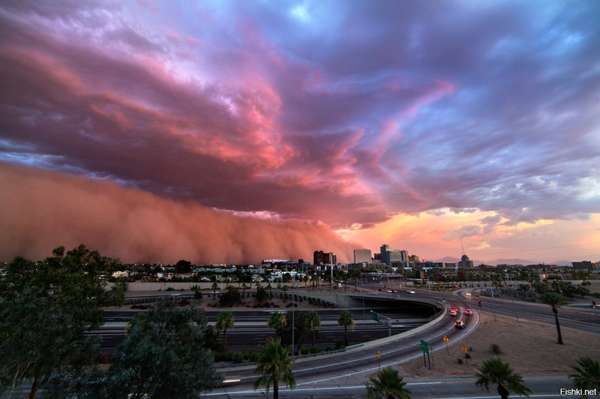Надвигающийся на закате шторм в Фениксе, штат Аризона