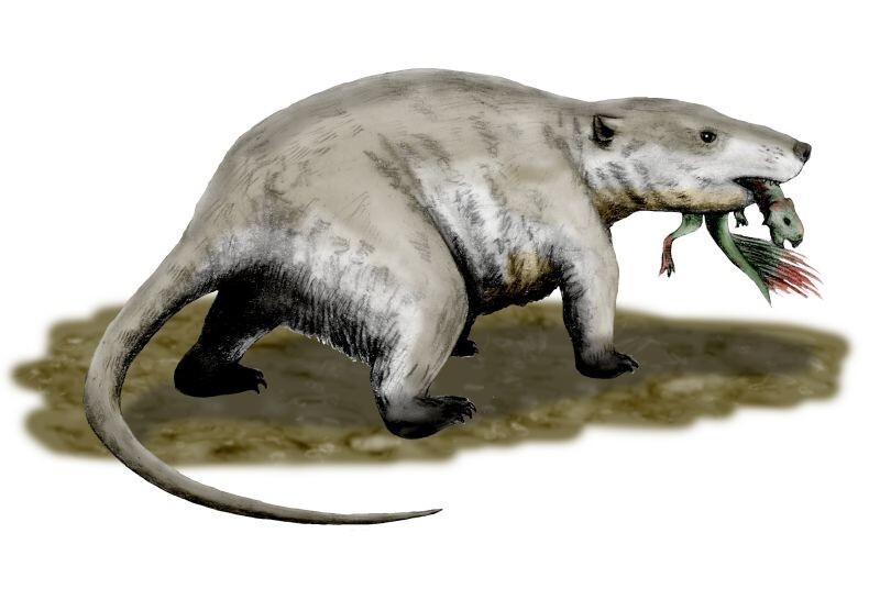 Во времена, когда жили динозавры, все млекопитающие были размером с мышь