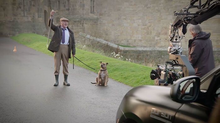 Самая одинокая собака Великобритании станет звездой 5-й части «Трансформеров»