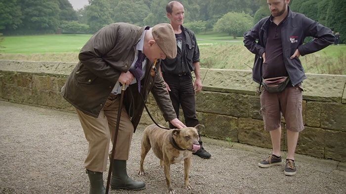 Самая одинокая собака Великобритании станет звездой 5-й части «Трансформеров»