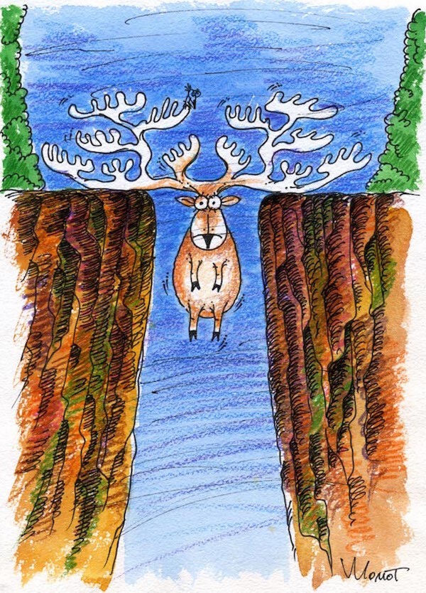 Весёлые карикатуры «Бесэдера?» в мире животных