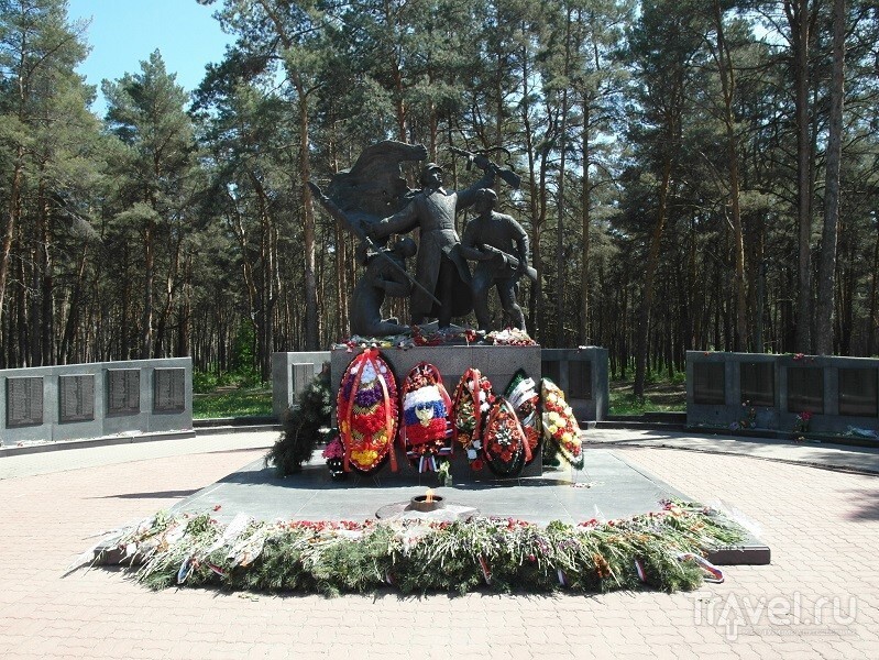 Шебекино. Город в Белгородской области России