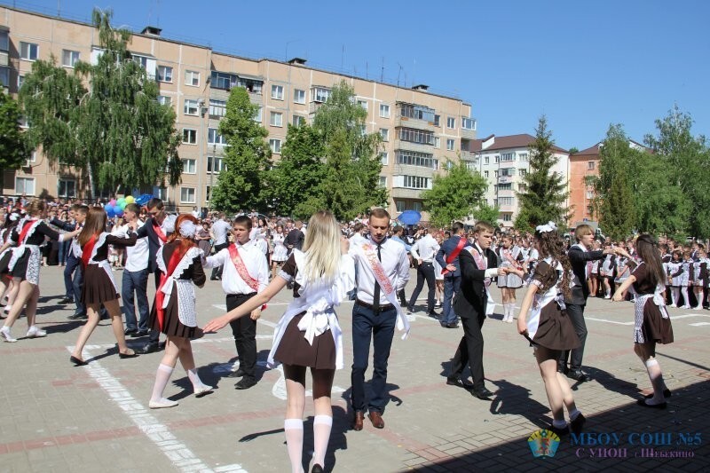 Шебекино. Город в Белгородской области России