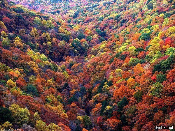 Осень в Грузии