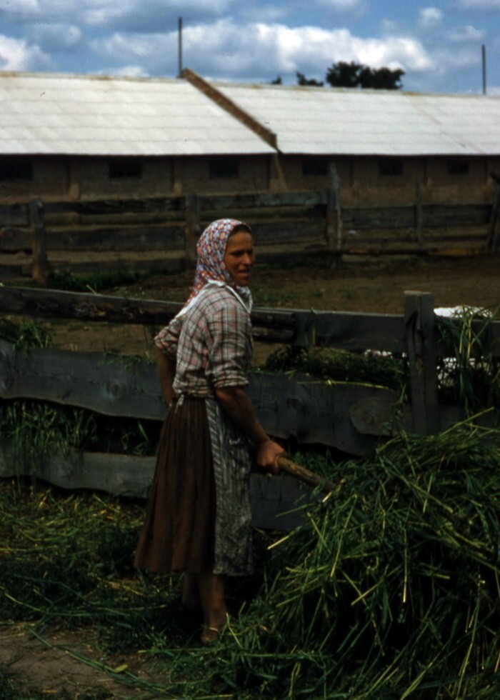 Найдены редкие фото СССР 1950-х, сделанные профессором из США