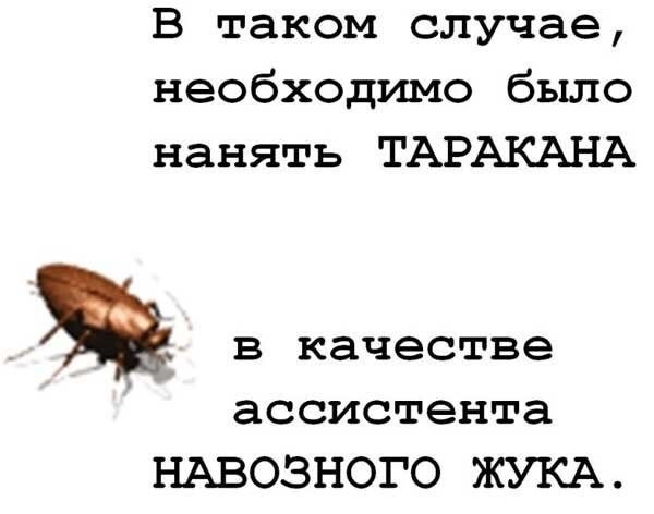 Сказка про муравья