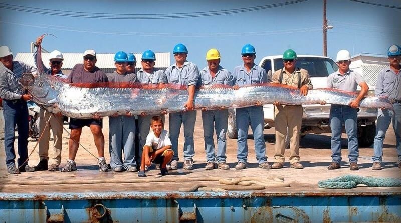 Самые большие пойманные рыбы