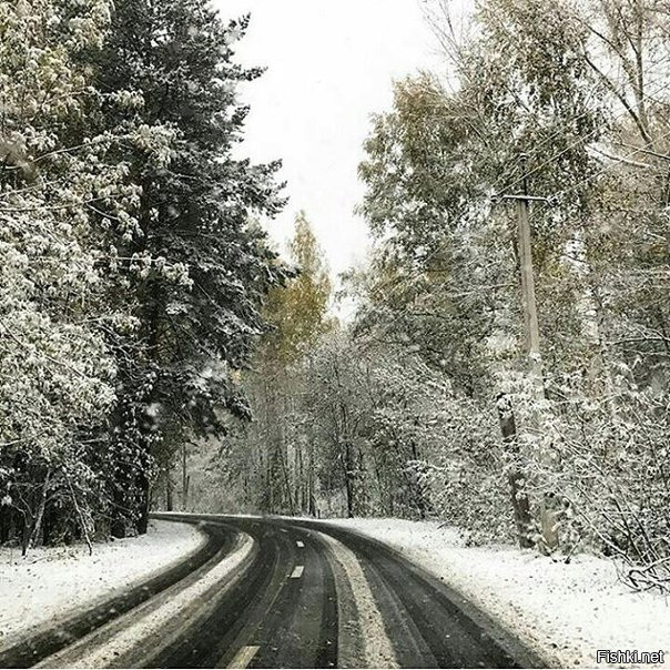 Из солянки