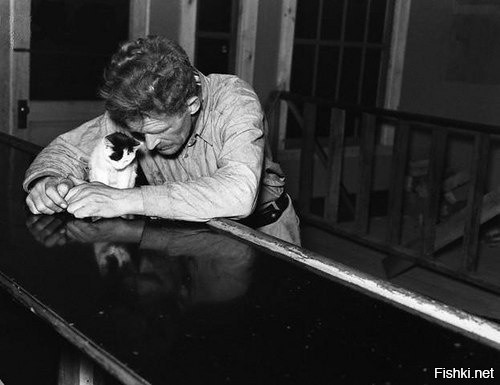 Одинокий мужчина со своим котенком, 1937 г